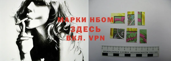 крисы Алзамай